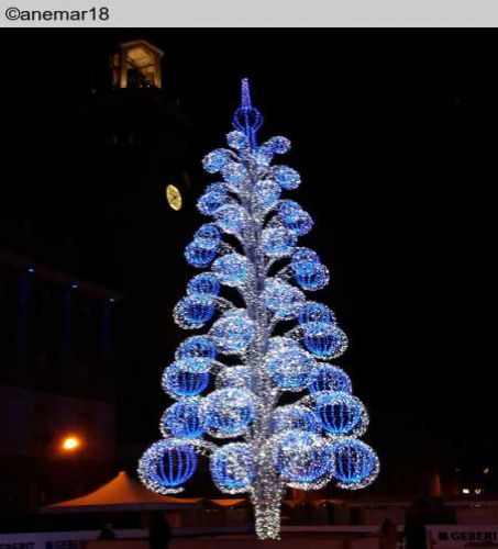 Cartoline di fine anno: gli alberi a Gaeta