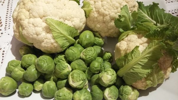 Cavoli a merenda cavolini di Bruxelles e tajarin a km. 0