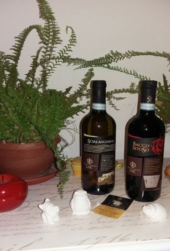 Azienda Agricola LDC Luca De Cicco entra in Gusto Italiano