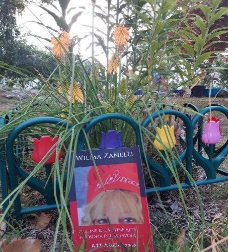 Wilma Zanelli #Amazon #filosofiadellatavola #Cucine&Cantinealte 