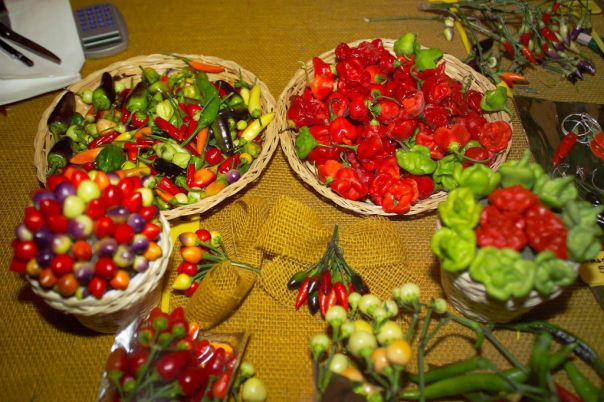 Diamante e il Festival del Peperoncino 