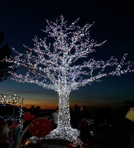 Cartoline di fine anno: Frascati e luminarie