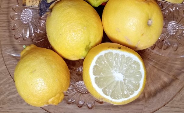 Limoncello Spritz a Sorseggialibri #ingredienti 24 settembre