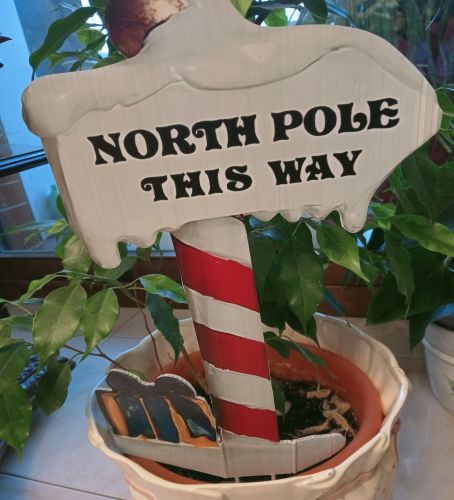 foto di Wilma Zanelli