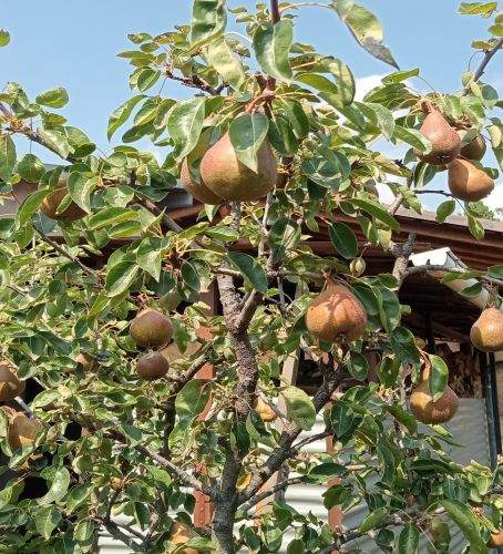Celebriamo l/amore dei viaggi e dei territori - Gusto Italiano - Genova 