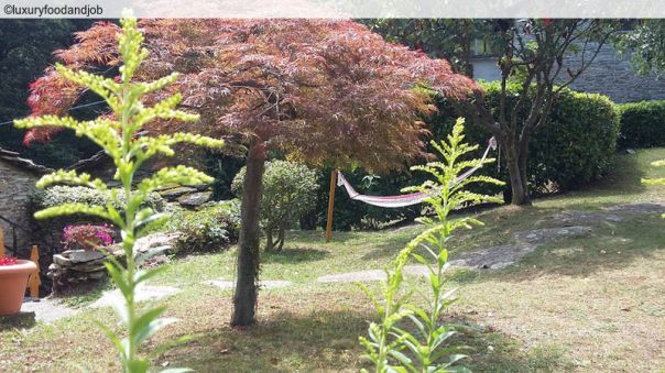 Cartoline dall\'Alta Valle Po: aspettando il Concerto di Ferragosto