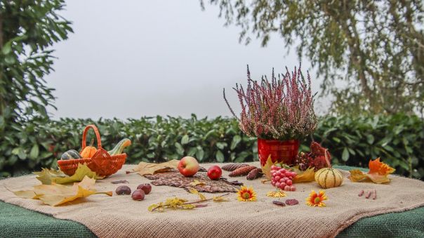 Colori d'autunno i menù di Gusto Italiano