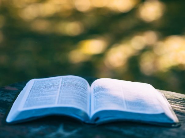 Catania book Festival dal 8 ottobre 2020