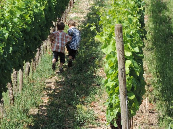Ginnastica in vigna Franciacorta col personal wine trainer 
