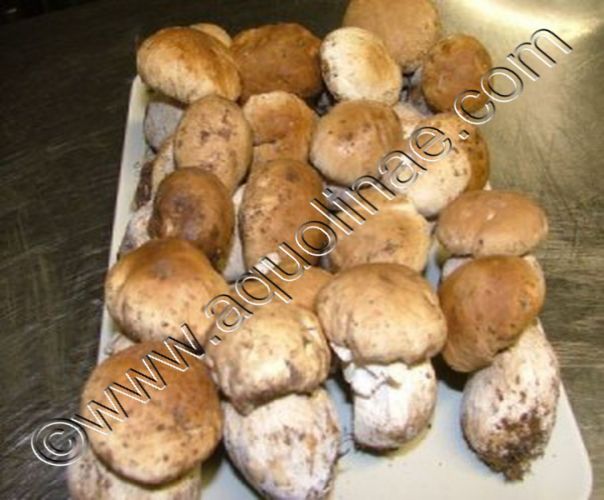 Porcini su foglia di vite con lardo - Ricetta per Gusto Italiano