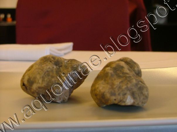 Omelette aux truffes noires - recette Aquolinae per Gusto Italiano