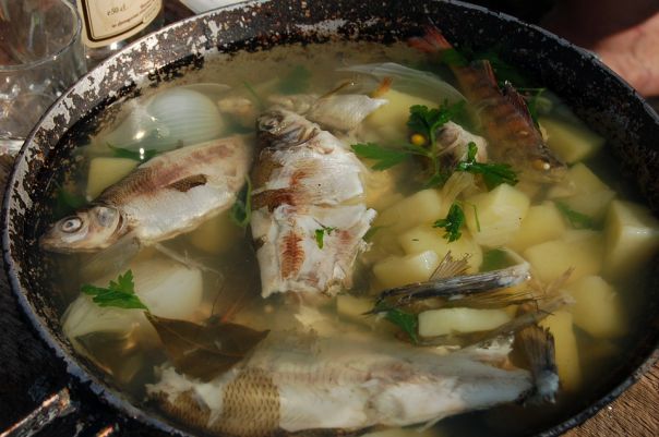 Nova Kachovka e il concorso gastronomico