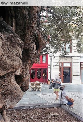 Tour in Maiorca e poi verso le mete più chic dell'isola