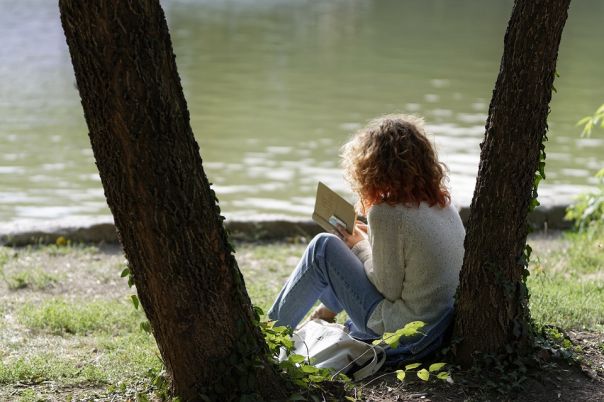 Annuso un piatto come le pagine di un libro
