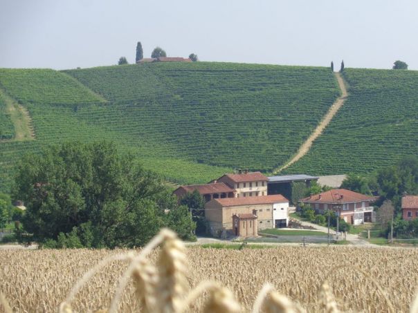 Gusto Italiano presenta i suoi Brand: Grancollina