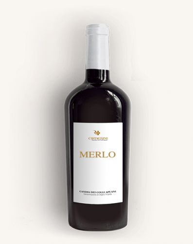 Мерло
