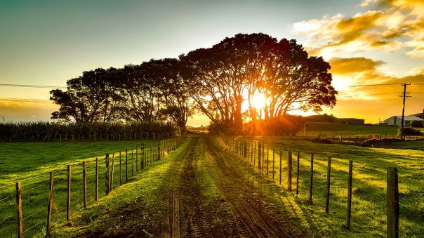 2019: ci seguono da Ucraina, Russia, Wellington, Auckland 