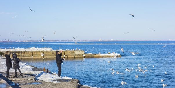 Settembre sul Mar Nero. Odessa 