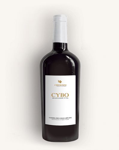 Cybo