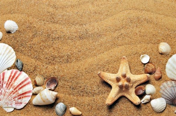 Isole e turismo balnerare a Ocakiv nell'Oblast Mykolaiv Mar Nero