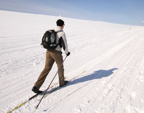 #Abruzzo un\' esperienza che fiorisce come il seme 