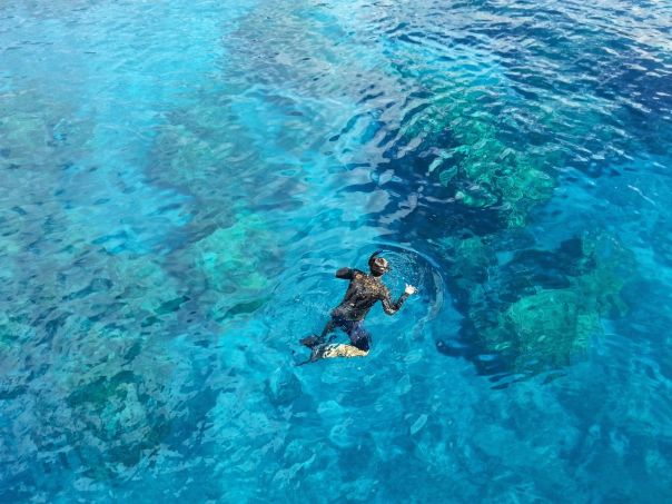 Ci leggono da Christmas Island - l'isola della volpe volante 